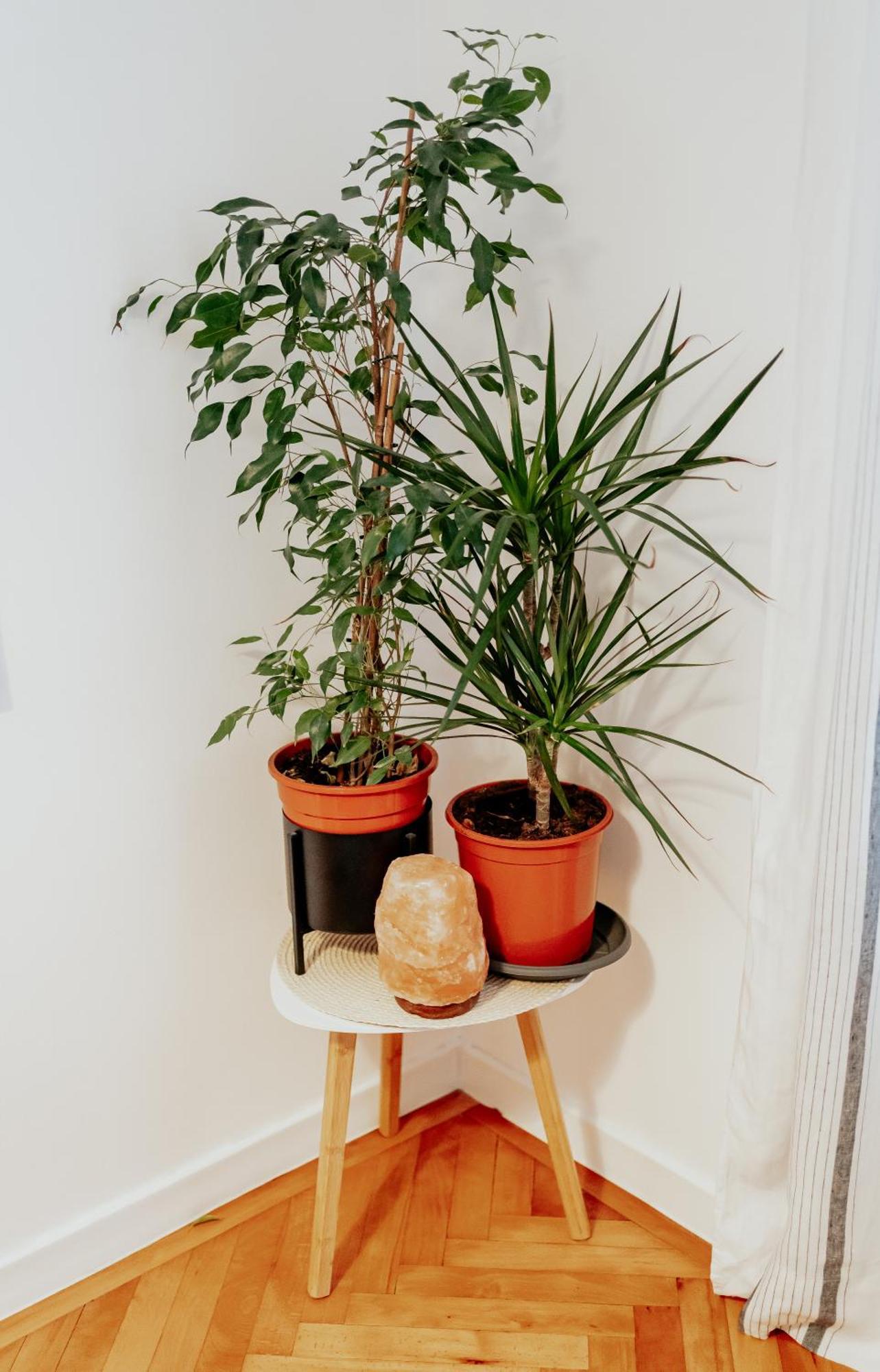 The Change House- Cozy Vibe Terasa Dormitoare Separate Braşov